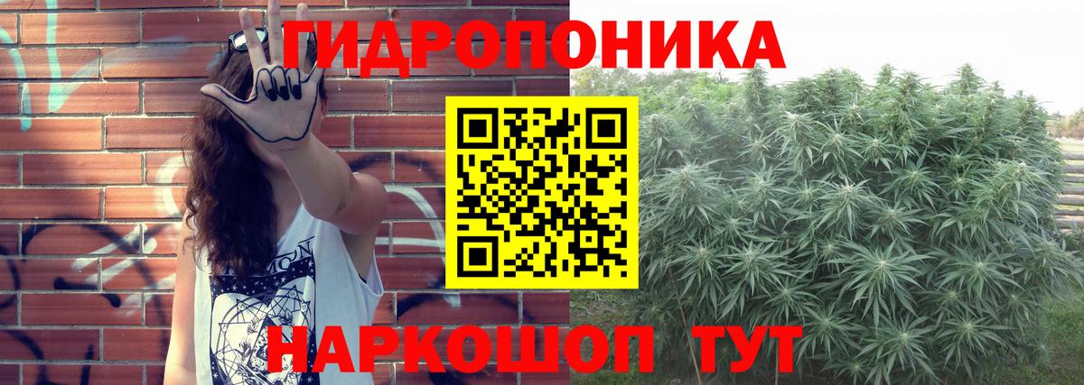 Бошки Шишки индика  Вход с VPN  Каннабис Bruce Banner  Томск  Бошки Шишки LSD WEED 